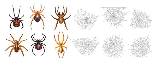 Realistisches, isoliertes Spinnennetz-Icon-Set mit sechs Spinnen und unterschiedlichen Vektor-Abbildungen - Vektor, Bild