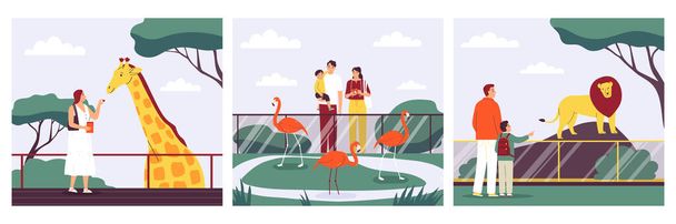Állatkert kompozíciók készlet emberek etetés zsiráf nézi az oroszlán és flamingók lapos elszigetelt vektor illusztráció - Vektor, kép