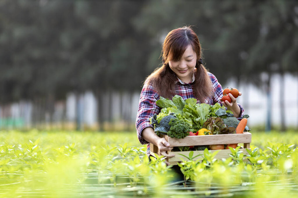 Mujer asiática agricultora está llevando la bandeja de madera llena de verduras orgánicas recién recogidas en su jardín para la temporada de cosecha y alimentos saludables - Foto, Imagen