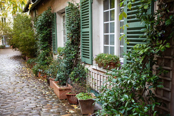 Charmant huisje in een groen doodlopend straatje in Parijs - Foto, afbeelding
