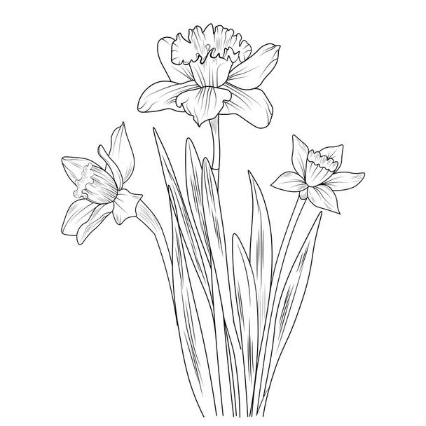 ilustração vetorial de uma bela flor com um buquê de flores de camomila e folhas. - Vetor, Imagem