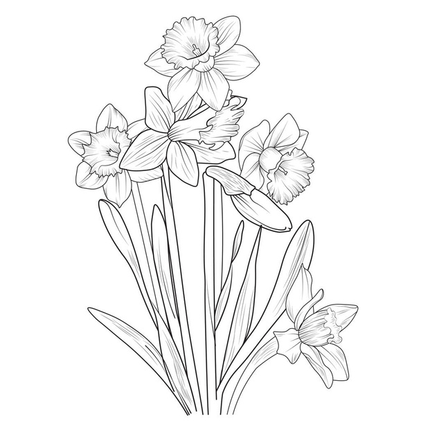 vector illustration of a beautiful botanical background, Flowers branch of a daffodil flower Hand drawing vector illustration Vintage design elements bouquet floral natural collection. isolate on white. - Vector, Image
