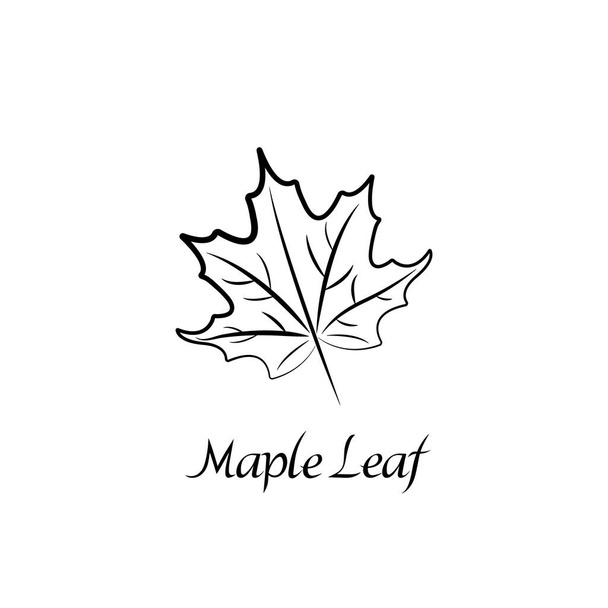 Vector illustration of maple leaf. Natural print isolated on white background. Black silhouette outline with inscription, description. - Vector, Image