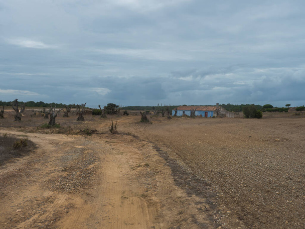 Strada sterrata di campagna attraverso il campo nudo con abbandonata casa blu in rovina e alberi secchi vicino a Odeceixe, Portogallo. Giorno nuvoloso di autunno. - Foto, immagini