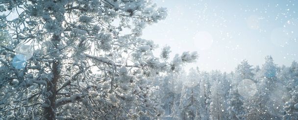 Snow covered pine tree on cold winter day. Soft image with snowflakes design. - Photo, image