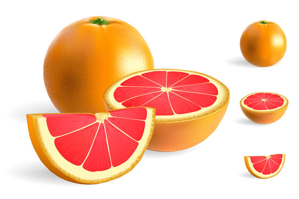 Fehér vektoros illusztráción izolált rózsaszín grapefruit egészben, felében és szeletében. - Vektor, kép
