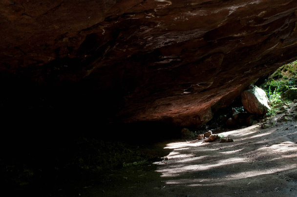 Fotografía de una cueva en el bosque - Foto, imagen