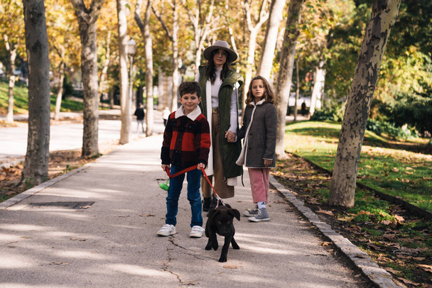 Full body mom and kids with Labrador Retriever puppy on leash standing on asphalt path in sunlit autumn park in weekend - Photo, Image