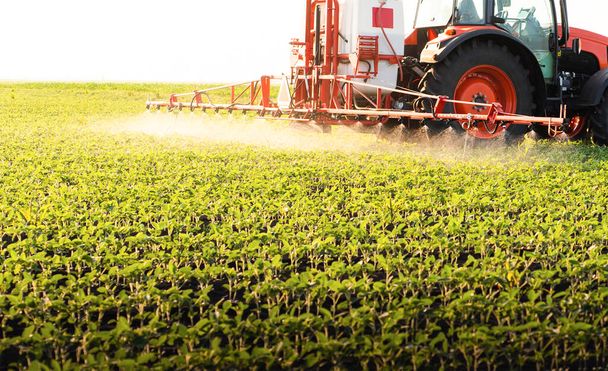 Traktor, postřik pesticidy na poli sóji s rozprašovačem na jaro - Fotografie, Obrázek