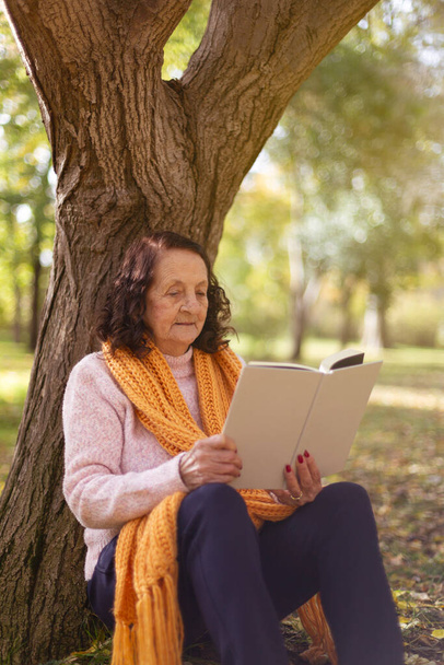 Portret starszej białej kobiety czytającej książkę na zewnątrz. Miejsce na tekst. - Zdjęcie, obraz