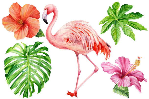 Flamingó légy trópusi flóra. Zöld levél, hibiszkusz virág Akvarell botanikus festmény. Kiváló minőségű illusztráció - Fotó, kép