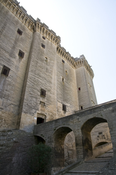 Tarascon Castle, France - Valokuva, kuva