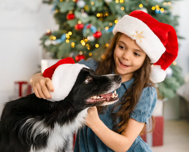 Söpö teini-ikäinen tyttö pitää hauskaa koiransa kanssa joulutunnelmassa joulukuusen vieressä. Tyttö laittaa joulupukin hatun koirien päähän ja nauraa - Valokuva, kuva