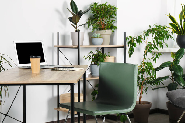 Beautiful workplace with laptop on wooden table, chair and houseplants in room - Valokuva, kuva
