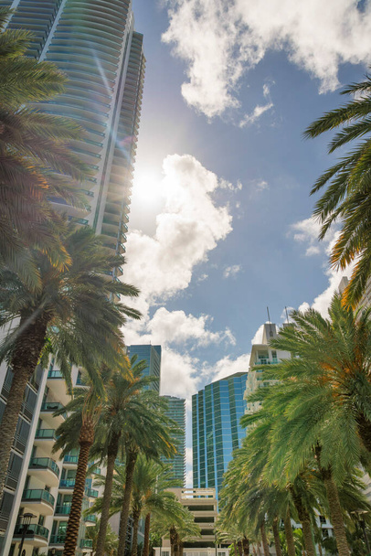 Rows of palm trees and sun behind the condominium building at Miami, Florida. Views of modern multi-storey residential buildings with glass railings at balconies. - Photo, Image