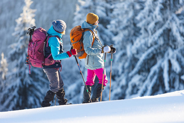 Dos mujeres caminan a través de la nieve en una caminata de invierno, dos mujeres en las montañas en invierno, equipo de senderismo, raquetas de nieve - Foto, imagen