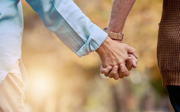Love, nature and senior couple holding hands while walking in autumn park, forest or woods for retirement leisure. Romance, lens flare or marriage partnership of elderly man and woman bonding on date. - Foto, afbeelding