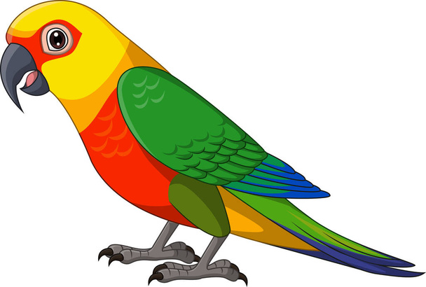 Vector illustration of Cartoon Conure Jenday Parakeet on White Background - Vector, Image