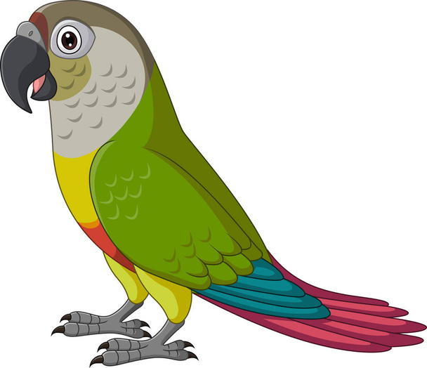 Vektor illusztrációja rajzfilm zöld arcú papagáj fehér háttér - Vektor, kép
