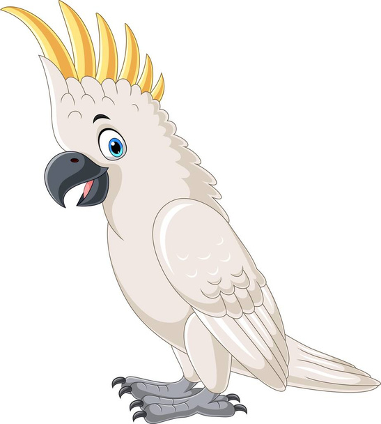 Ilustracja wektorowa kreskówkowego białego kakadu na białym tle - Wektor, obraz