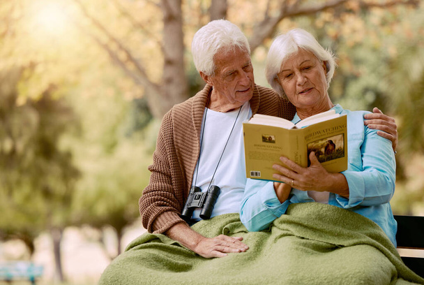Old, people and book with a mature couple reading in the park for knowledge and education. Bonding, read and love with a husband and wife with a novel or story in a garden relaxing in retirement. - Фото, изображение