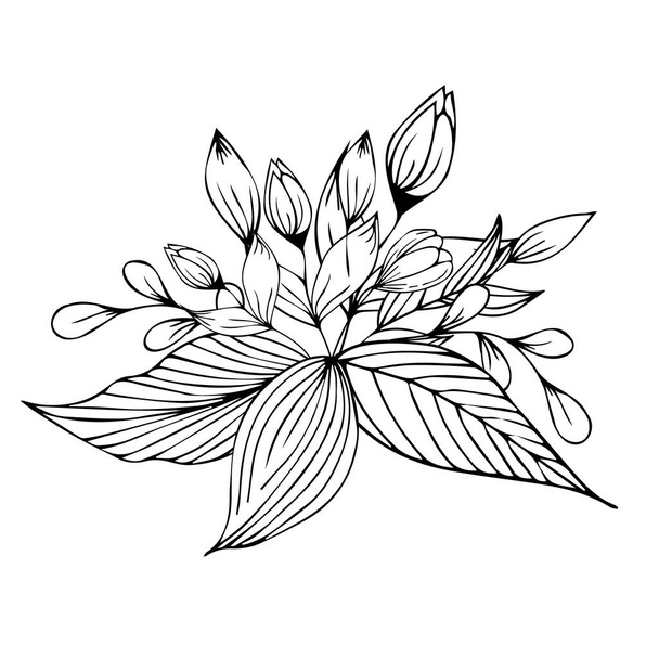  Flower arrangement. Hand drawing. For wedding decor, holiday invitations, backgrounds, as clipart or coloring - Vecteur, image
