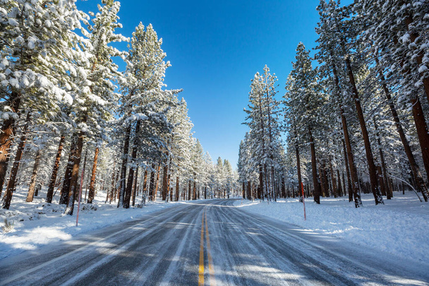 Сельская дорога в зимний сезон. Прекрасный зимний лес. - Фото, изображение