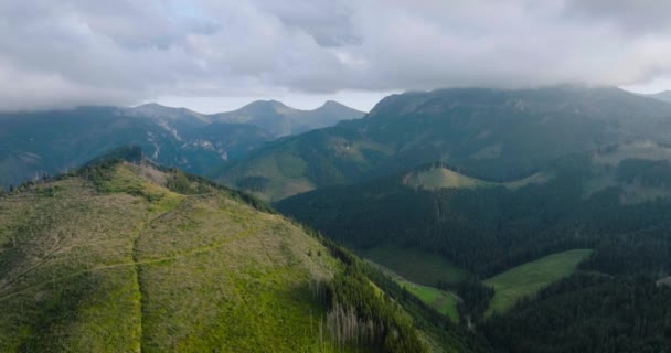 Вид с воздуха на красивый горный пейзаж летом, облачное небо, лес и скалы. Закопане, Татры, Польша - Кадры, видео