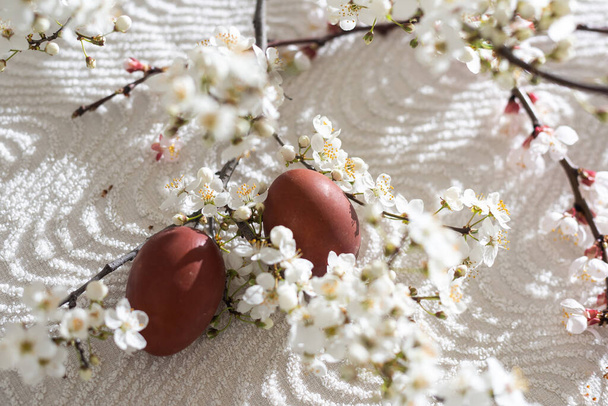 Пасхальный торт и раскрашенные яйца цветут ветки. - Фото, изображение