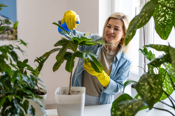 Young businesswoman sprays plants in flowerpots. Woman caring for house plant. Woman taking care of plants at her home, spraying a plant with pure water from a spray bottle - Photo, Image