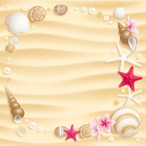 Seashell background - Vector, imagen