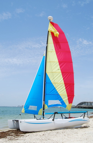 Катамаран с радужными парусами
 - Фото, изображение