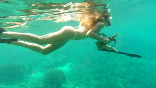Swimming, diving and spear fishing in the ocean while in white bikini and holding crayfish. Seafood, swim and snorkeling dive with a female diver fishing with a tool to catch crustacean. - 映像、動画