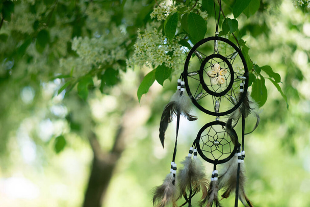 Dreamcatcher in forest, mystical protect amulet - Photo, Image