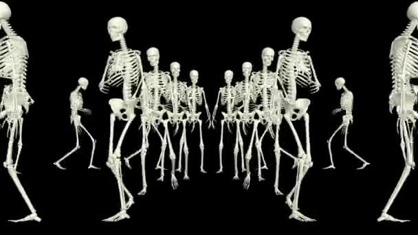 Οι σκελετοί τρέχουν γύρω. 3D σκελετοί που τρέχουν. - Πλάνα, βίντεο