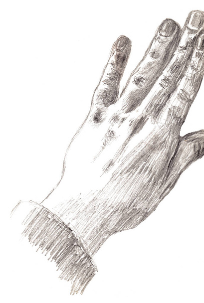 Ручной рисунок женской руки монохромный на белом фоне. Рисунок карандаша. - Фото, изображение