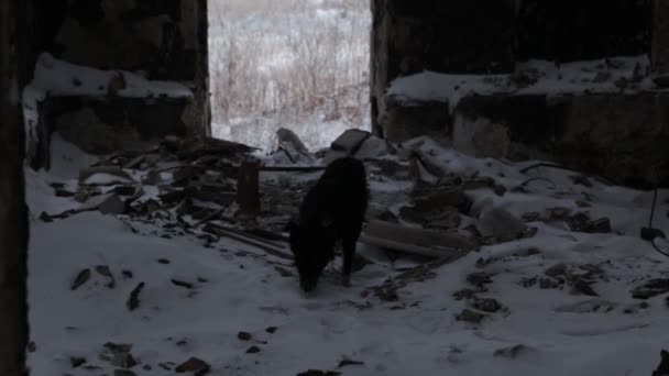 Der Krieg zwischen Russland und der Ukraine. Donbass. - Filmmaterial, Video