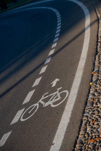 Camino de asfalto con franjas de carril bici - Foto, imagen