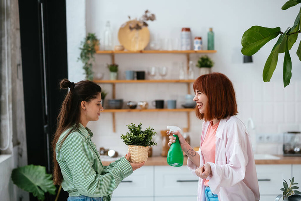 Two young women is taking care of houseplants spraying with water. - Photo, Image