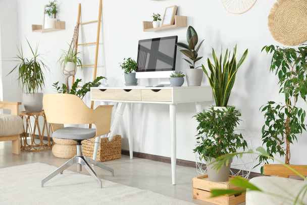 Comfortable workplace with modern computer and different houseplants in room - Foto, immagini