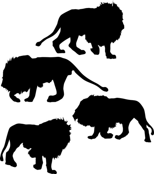 dört aslan silhouettes - Vektör, Görsel