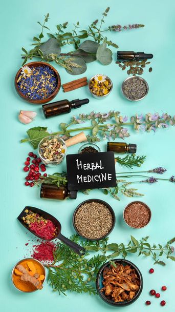 Alternative herbal medicine on green background. Homeopatic flower and herbs remedies. Top view, copy space - Фото, зображення
