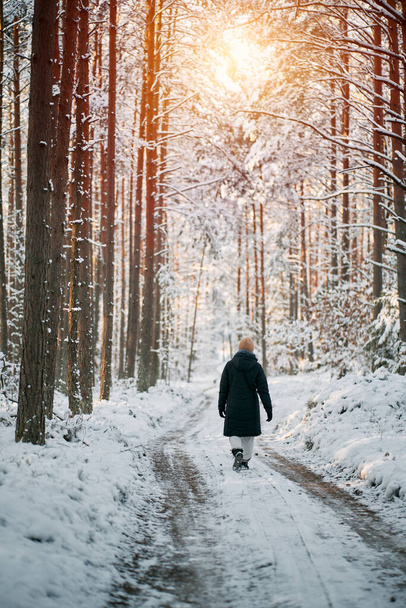 A person walks on the winter road. No face woman hiking in a snow-covered forest. - Foto, immagini
