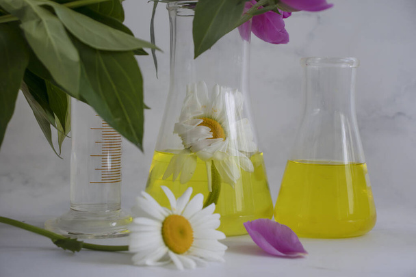Laboratory flask flower on a light background - Photo, Image