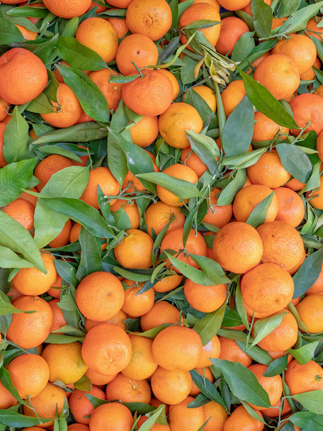 mandarinas orgânicas vista superior close up, laranja natural e fundo verde - Foto, Imagem
