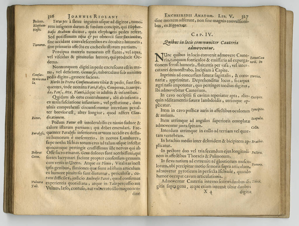 Worn old book pages of a Latin journal. An old book with its pages on display - Foto, Imagem
