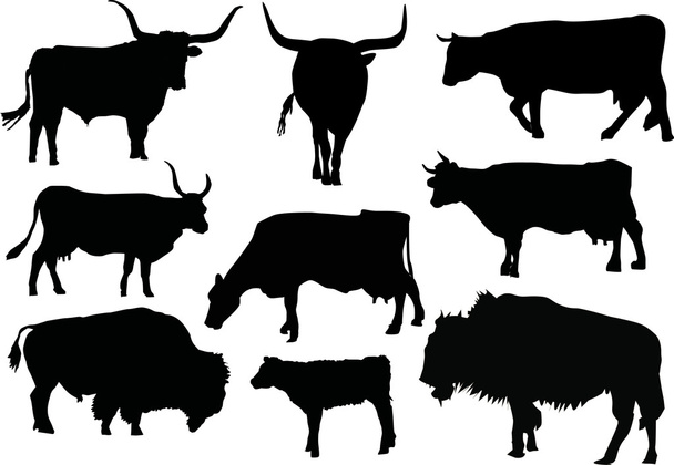 9 つの雄牛および牛シルエット - ベクター画像