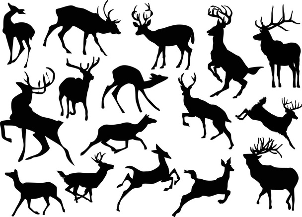 running deer silhouettes - Vector, Image
