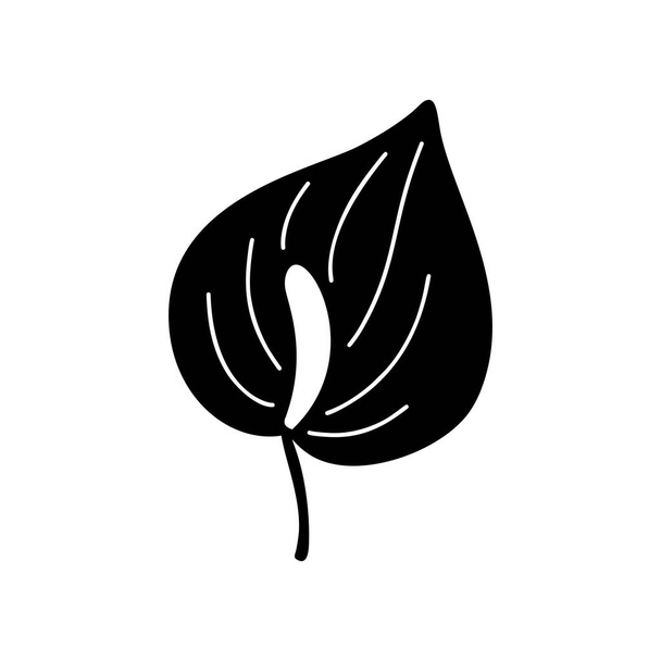 Anturium. Tropical flower. Black silhouette. Forest element. Vector illustration. - Vektor, Bild