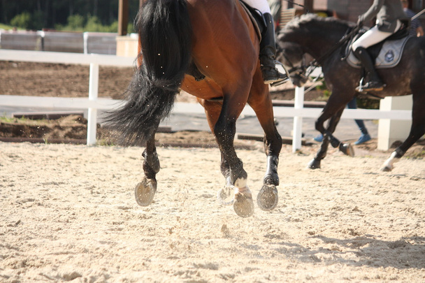 Cantering patas de caballo de cerca
 - Foto, imagen